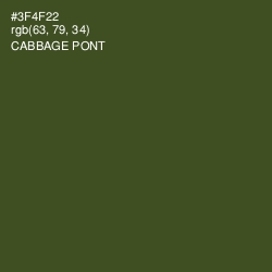 #3F4F22 - Cabbage Pont Color Image